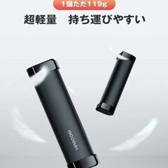 HAGOOGI 充電式カイロ 分離式 シャンパンカラーの画像