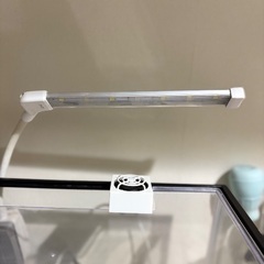水槽　他の画像