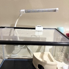 水槽　他の画像