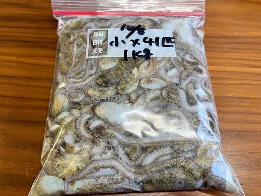 ♦︎小×大55匹 那覇♦︎