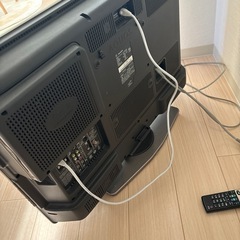 テレビの画像