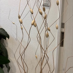 オブジェ②ベージュ
の画像