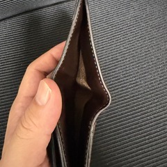 ワイルドスワンズ パームの画像