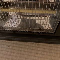 電気ヒーターの画像