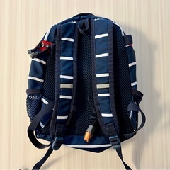 Coleman  コールマン　PETIT  プチ　約5L の画像