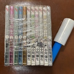 漫画　銀盤騎士(小川彌生)全11巻セットの画像