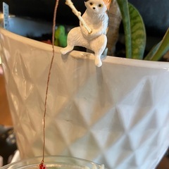 猫の釣り　置き物　3センチ程の画像