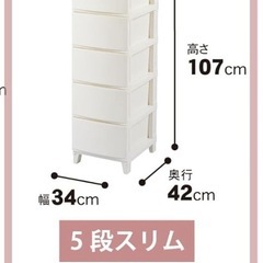 プラスチックチェスト【取りに来れる方のみ】の画像
