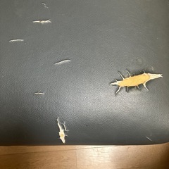 ソファ　無料の画像
