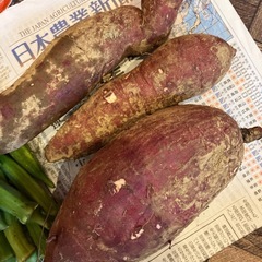 今日のお問い合わせでプレゼントあり　無農薬栽培採れたてオクラ＆さつまいも　まるごと果実ジャム2種などの画像