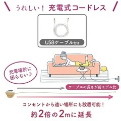 LARUTAN 電動搾乳機 コードレス ほぼ新品＆手動搾乳機(おまけ：ピジョン 母乳フリーザーパック)  バラ売り可能 お問い合わせくださいの画像