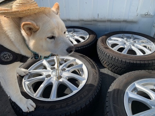 バリ溝 22年35週　スタッドレス 155 65 14 ブリヂストン ブリザック