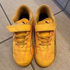 20cm プーマトレーニングシューズの画像
