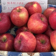 2025年11月2日　たまがわ むすび市 − 東京都