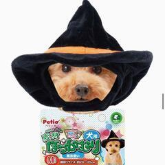ハロウィン　ペット　犬用品 犬用 変身　帽子　 かぶりもの 魔法使い Mの画像