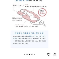 抱き枕　ハグモッチの画像