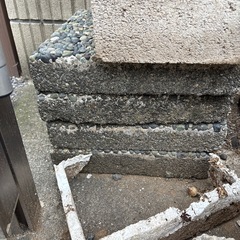 庭の踏み石の画像
