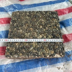 庭の踏み石の画像
