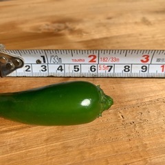 ハラペーニョ300gの画像