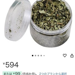 キャットニップ 猫 マタタビの画像