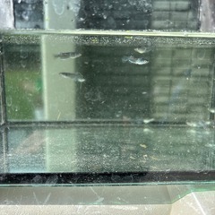 予約様用(ミッドナイトフリル)の画像