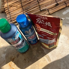 お得！メダカ飼育セットの画像