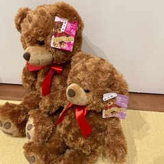 テディーベアぬいぐるみ🐻
の画像