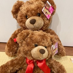 テディーベアぬいぐるみ🐻
の画像