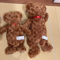 テディーベアぬいぐるみ🐻
の画像