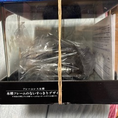 水槽の画像