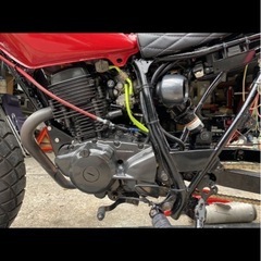 TW200の画像