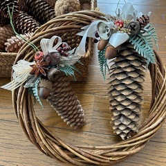 松ぼっくりの画像