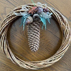 松ぼっくりの画像