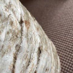 陶器　鉢の画像