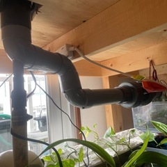 水槽の画像
