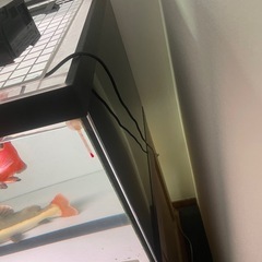 水槽の画像
