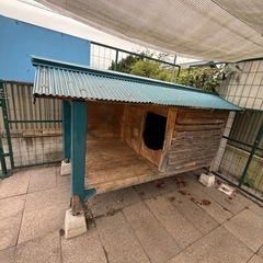 犬小屋、車輪付きの画像
