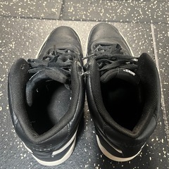30cmNike コートヴィジョンMIDの画像