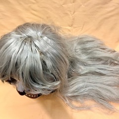 ハロウィン　仮装  マスク ウィッグの画像