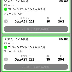 琉球ゴールデンキングスvsアルバルク東京チケット2枚の画像