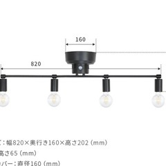 シーリングライト 電球付き ブラックの画像