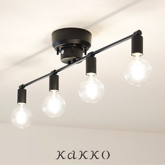 シーリングライト 電球付き ブラックの画像