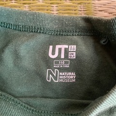 UNIQLO 110 虫柄の画像