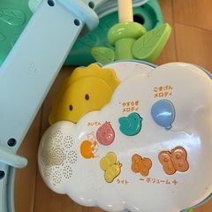 プーメリーの画像