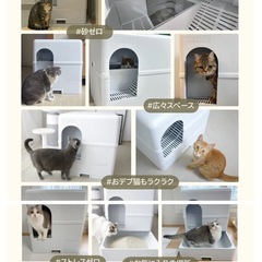 PETRUE 猫のトイレの画像