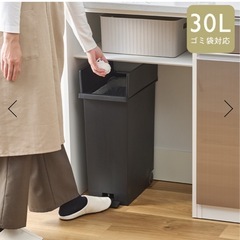 ケユカ　両開きダストボックス27L ブラック×2の画像
