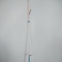 ワカサギ釣り用釣り具の画像