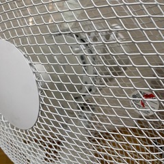 扇風機の画像