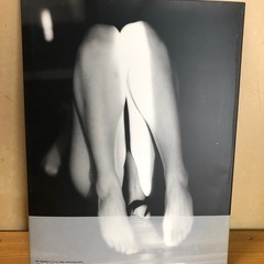 墨田ユキ 写真集 ③ MADE IN JAPAN  の画像