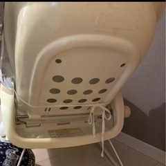 ベビーラック　クーファン　プルメアの画像